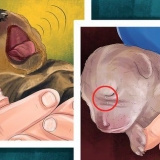 Gesondheidsprobleme by pasgebore puppy's herkennen