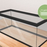 Glasgarnalen kweken