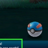 Ontwikkelende grubbin in pokémon sun and moon