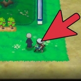 Oefen jou pokémon se ev