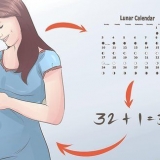 Die geslag bepaal met die chinese geboortekalender