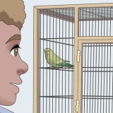 Het vertrou van jou vogel te wen