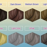 Wend highlights en lowlights aan die hare met foelie