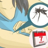 Omgee vir iemand met dengue