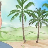 Klim in 'n klapperboom