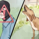 Je hond laat stop met blaffen teen onbekende persone