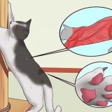 Je kat afleren aan meubels te krabben