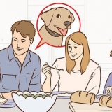 Om jou ouers te oortuig om 'n hond te kry