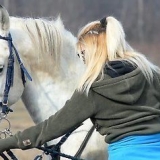 Je paard jou laat vertroue