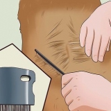 Jeukende huidprobleme van je hond vasstellen en behandel