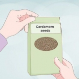 Kweek kardemom