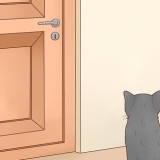 Katten uit 'n kamer hou
