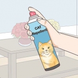 Katten uit je tuin hou