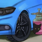 Katten weghouden van je auto
