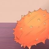 Kiwano eten