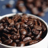 Koffie maak met 'n koffiepers
