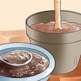 Gebruik koffiegronde in jou tuin