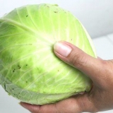 Koel koken