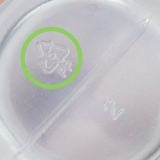 Gom plastiek