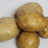 Maklik aardappelpuree maak