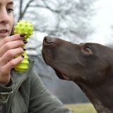 Met jou hond speel