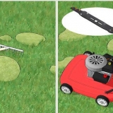Verwyder mos van jou grasperk
