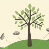 Mulch rondom 'n boom plekke