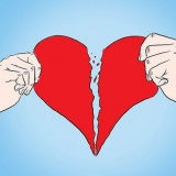 Nie meer verlief nie