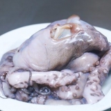 Seekat voorberei