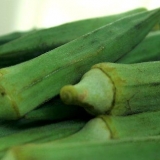 Okra ingeskryf