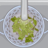 Oregano gebruik in die kombuis