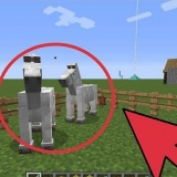 Teel perde in minecraft