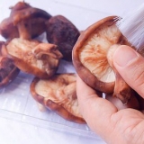 Paddenstoelen gedrogen
