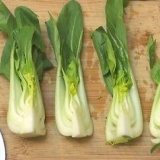 Paksoi berei