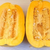 Pompoenpitten drogen
