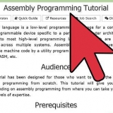 Programmering in vergadering