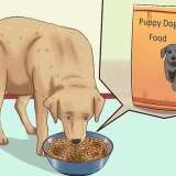Puppy se spenen