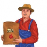 Kweek rys