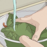 Salade vers hou