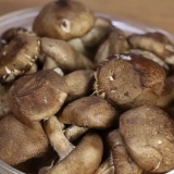Shiitakes voorberei