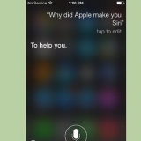 Laat siri snaakse dinge sê