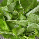 Spinazie berei