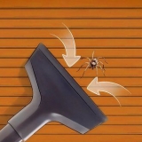 Spinne verwyder as jy 'n spinnefobie het