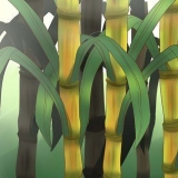 Plant suikerriet