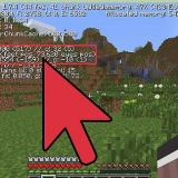 Teleporteer in minecraft
