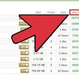 Die gebruik van torrents