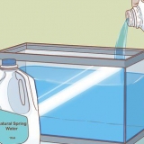 Triops versorgen