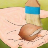 Berging van tulpbolle