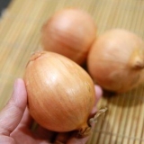 Uien sauteren