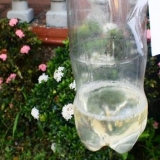 Maak drupbesproeiing uit 'n plastiekbottel
